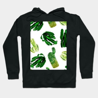 Watercolor cactus Hoodie